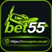 bet55 casino apk