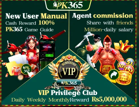 pk365 game apk manual
